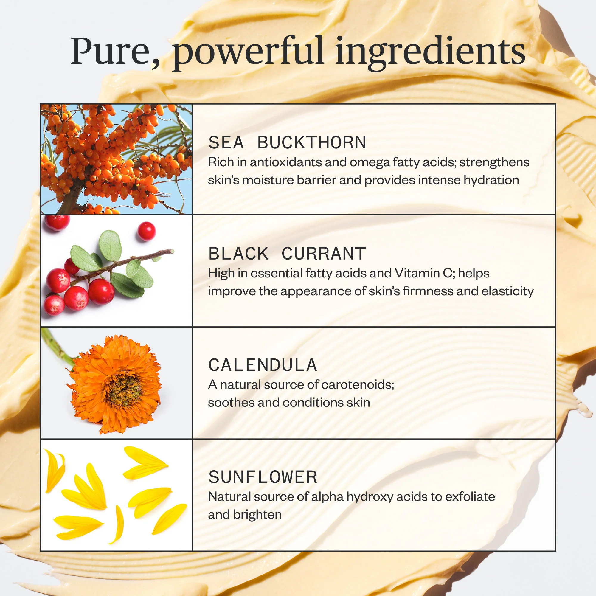 108-Golden-Hour-Recovery-Cream-5.webp Golden Hour Recovery Cream